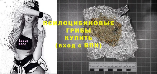крисы Верхний Тагил