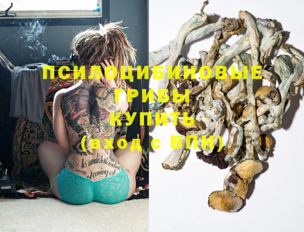 тгк Бронницы