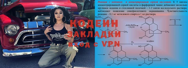 крисы Верхний Тагил