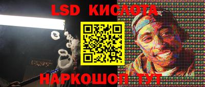 прущие грибы Канаш