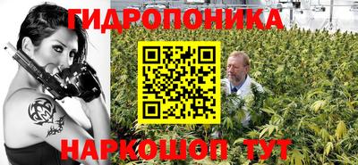 молекула духа Камышлов