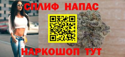 прущие грибы Канаш